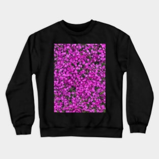 A carpet of pink creeping phlox blossoms Crewneck Sweatshirt